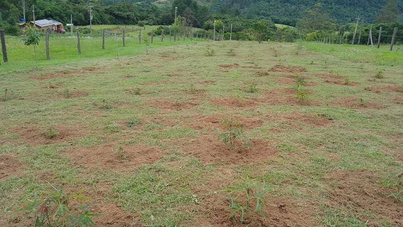 Foto 14